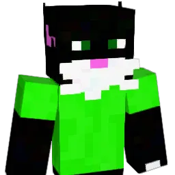 dingocat's Minecraft skin