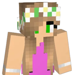 dini11's Minecraft skin