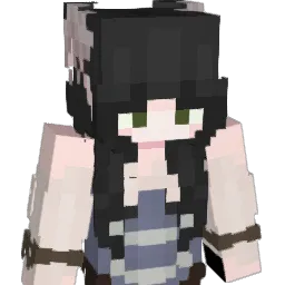 dinonuggets2414 Minecraft avatar bust