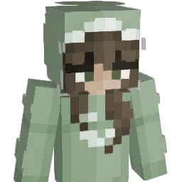 diorrxcx Minecraft avatar bust