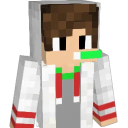 dipeper11 Minecraft avatar bust
