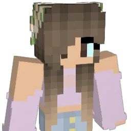 dira1473 Minecraft avatar bust