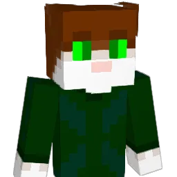 dirder Minecraft avatar bust
