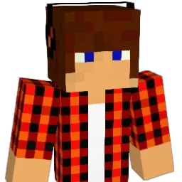 dirkelf's Minecraft skin