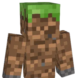 dirtball17 Minecraft avatar bust