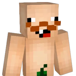 dirtbikerboy11 Minecraft avatar bust