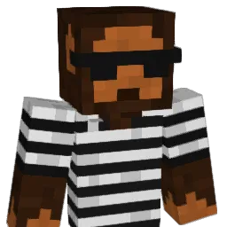 disace's Minecraft skin