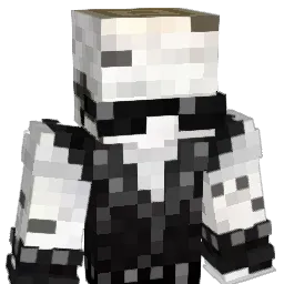 discohamster1 Minecraft avatar bust