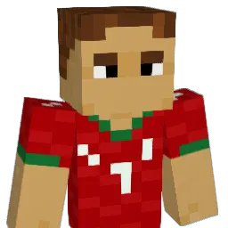 discostew8523 Minecraft avatar bust