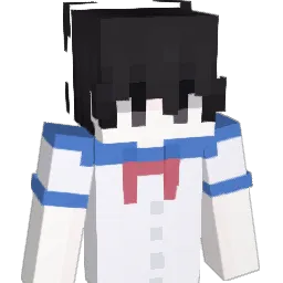 disfusion Minecraft avatar bust