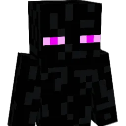 dishe11