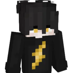 diskmane Minecraft avatar bust