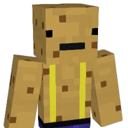 distelpistol Minecraft avatar bust