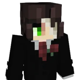 distortioneer Minecraft avatar bust
