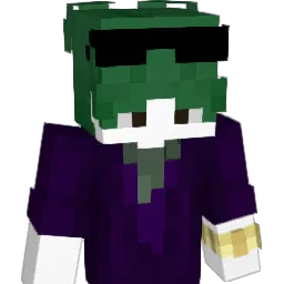 disue Minecraft avatar bust