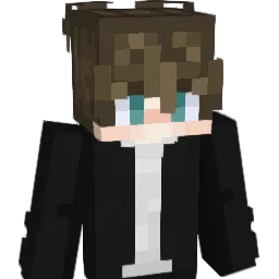 dividedpage Minecraft avatar bust