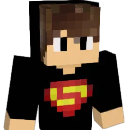dizignoficial Minecraft avatar bust