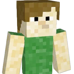 dj335 Minecraft avatar bust