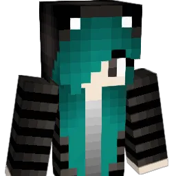 djnusagi Minecraft avatar bust
