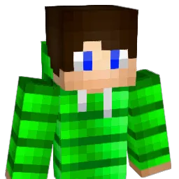 djpedroao2 Minecraft avatar bust