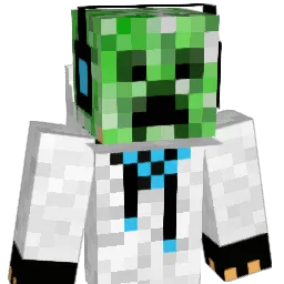 dk0505 Minecraft avatar bust