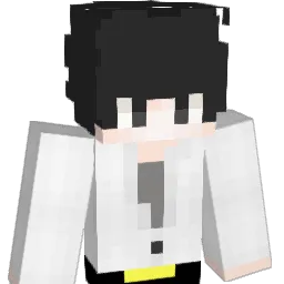 dla0626 Minecraft avatar bust