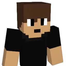 dlbk03 Minecraft avatar bust