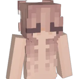 dlbl27 Minecraft avatar bust