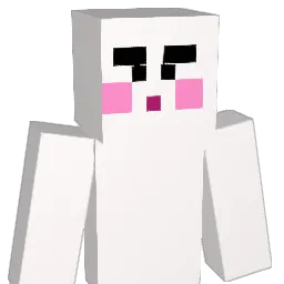 dldmd11 Minecraft avatar bust