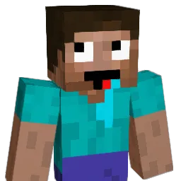 dldntjr300 Minecraft avatar bust