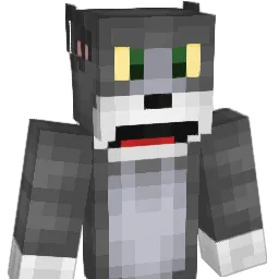 dlgodnr Minecraft avatar bust
