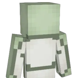 dlln_ Minecraft avatar bust