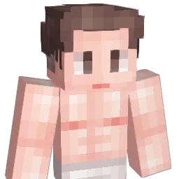 dlrjswnsla Minecraft avatar bust