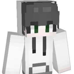 dlwlqor1234 Minecraft avatar bust
