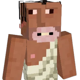 dlwpgns29 Minecraft avatar bust