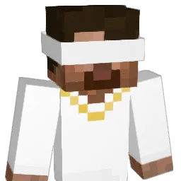dm1d's Minecraft skin