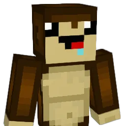 dmanxyz14 Minecraft avatar bust
