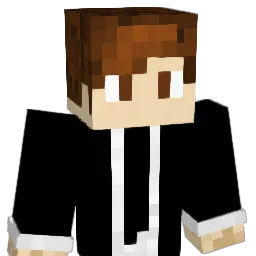 dmfbb Minecraft avatar bust