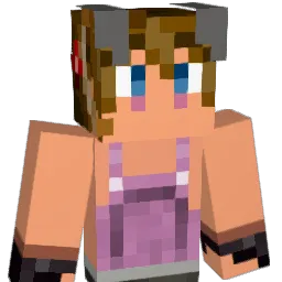 dmiller116549 Minecraft avatar bust