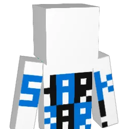 dmk_matt0 Minecraft avatar bust
