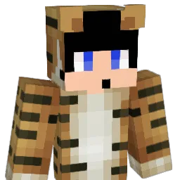 dmlwls01 Minecraft avatar bust