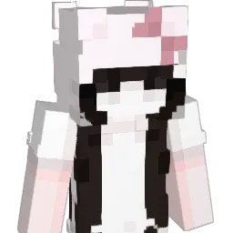 dmsal Minecraft avatar bust