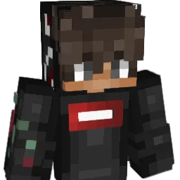 dmsky Minecraft avatar bust