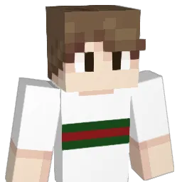 dmt_ninja_420 Minecraft avatar bust