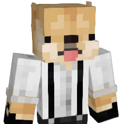 dmwhhh Minecraft avatar bust