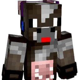 dmxnc Minecraft avatar bust