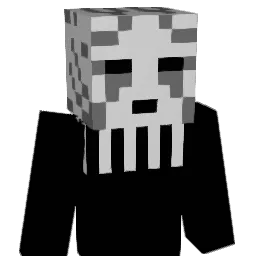 dmyer Minecraft avatar bust