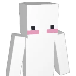 dn091234 Minecraft avatar bust