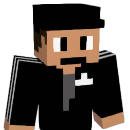 dn_go Minecraft avatar bust