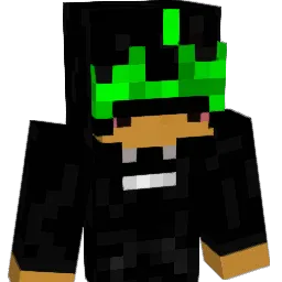 dntujstlvhghwtrs Minecraft avatar bust